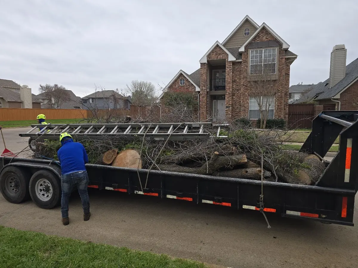 Expert Tree Fertilization with proper safety equipment in Poyen